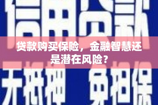 大余贷款购买保险，金融智慧还是潜在风险？