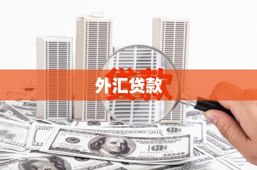 大余外汇贷款