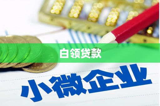大余白领贷款