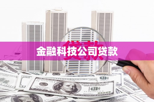 大余金融科技公司贷款