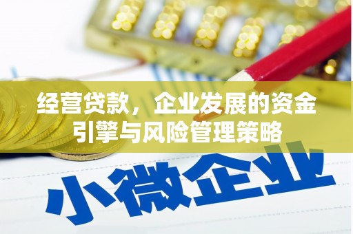 大余经营贷款，企业发展的资金引擎与风险管理策略