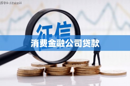 大余消费金融公司贷款
