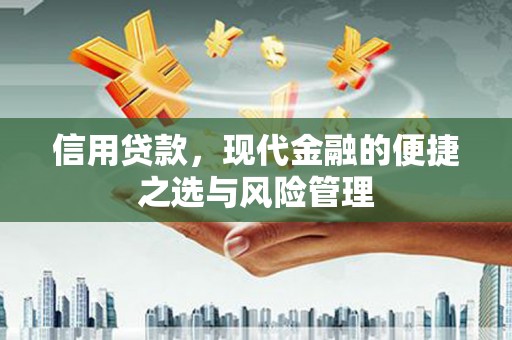 大余信用贷款，现代金融的便捷之选与风险管理