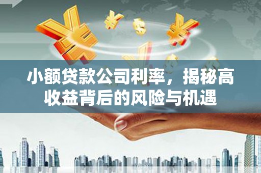 大余小额贷款公司利率，揭秘高收益背后的风险与机遇