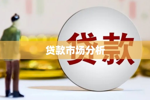 大余贷款市场分析