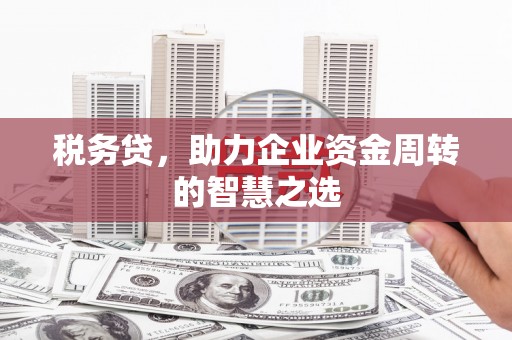 大余税务贷，助力企业资金周转的智慧之选