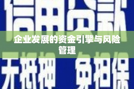 大余企业发展的资金引擎与风险管理