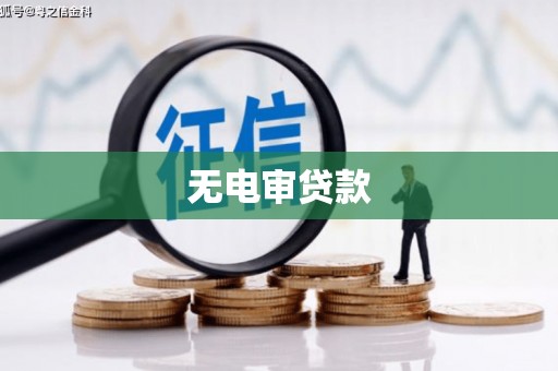 大余无电审贷款