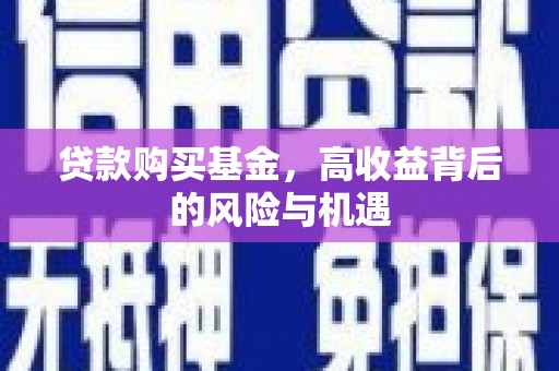 大余贷款购买基金，高收益背后的风险与机遇