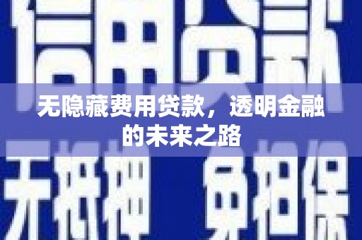 大余无隐藏费用贷款，透明金融的未来之路