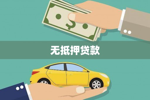 大余无抵押贷款