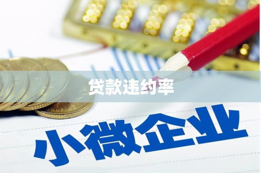 大余贷款违约率
