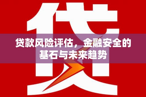 大余贷款风险评估，金融安全的基石与未来趋势