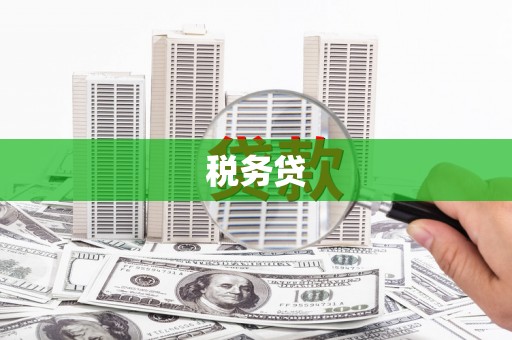 大余税务贷