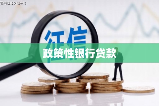 大余政策性银行贷款