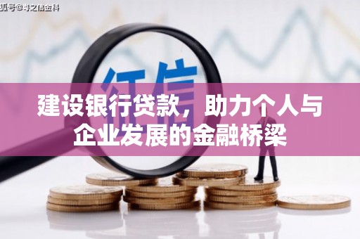 大余建设银行贷款，助力个人与企业发展的金融桥梁