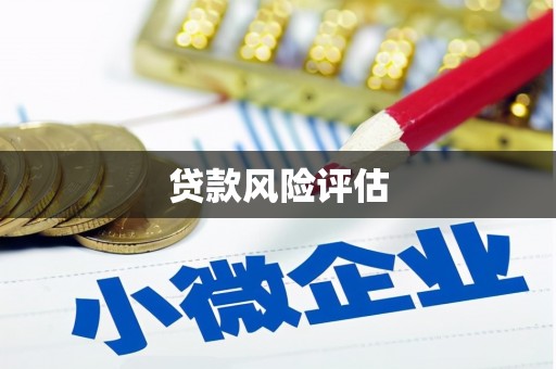 大余贷款风险评估