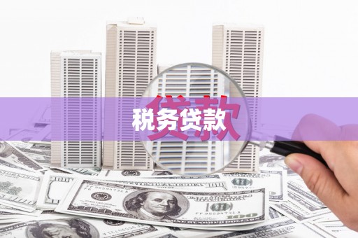 大余税务贷款