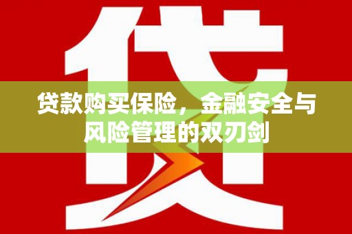 大余贷款购买保险，金融安全与风险管理的双刃剑