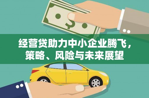 大余经营贷助力中小企业腾飞，策略、风险与未来展望