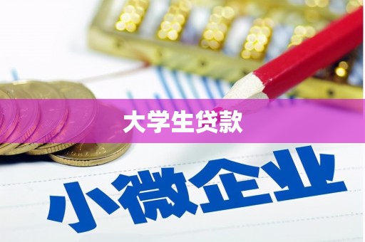 大余大学生贷款