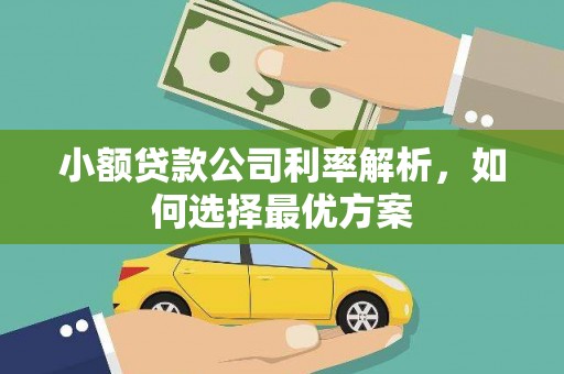 大余小额贷款公司利率解析，如何选择最优方案