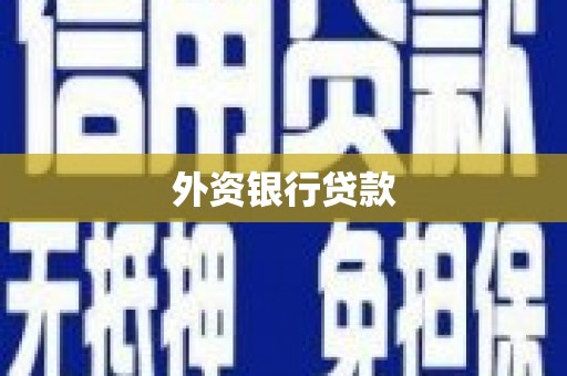 大余外资银行贷款
