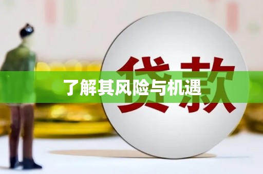 大余了解其风险与机遇