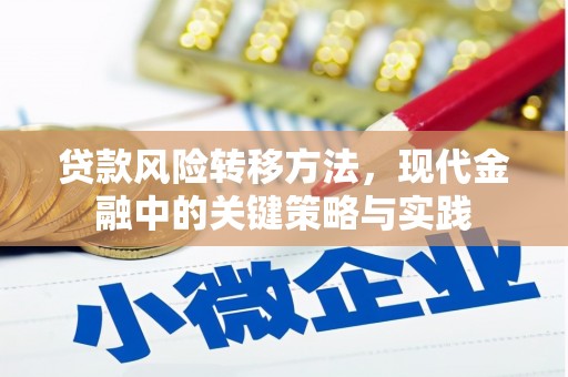 大余贷款风险转移方法，现代金融中的关键策略与实践