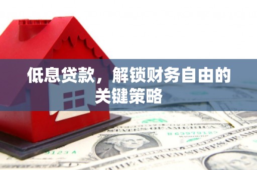 大余低息贷款，解锁财务自由的关键策略