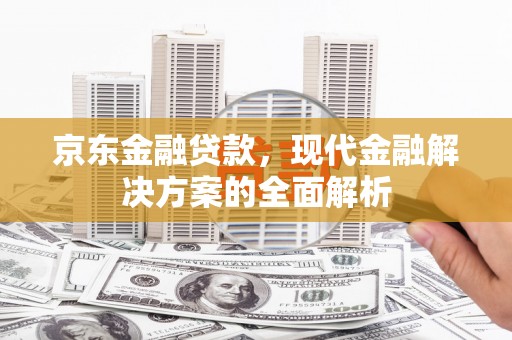 大余京东金融贷款，现代金融解决方案的全面解析