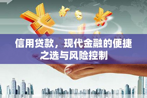 大余信用贷款，现代金融的便捷之选与风险控制