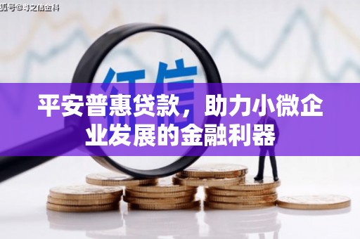 大余平安普惠贷款，助力小微企业发展的金融利器