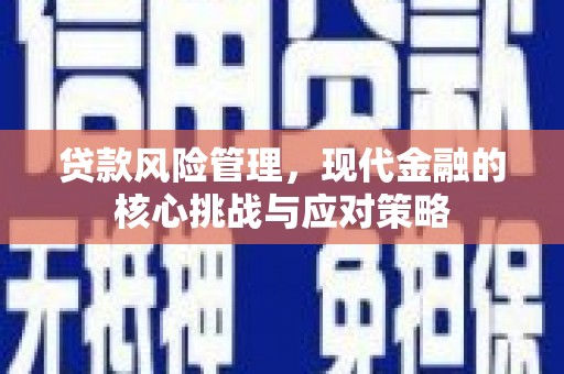 大余贷款风险管理，现代金融的核心挑战与应对策略