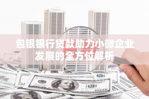 大余包银银行贷款助力小微企业发展的全方位解析 大余包银银行贷款助力小微企业发展的全方位解析