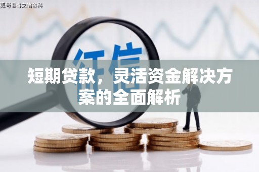 大余短期贷款，灵活资金解决方案的全面解析