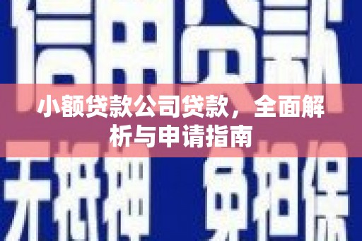 大余小额贷款公司贷款，全面解析与申请指南