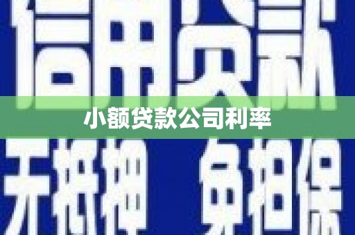 大余小额贷款公司利率