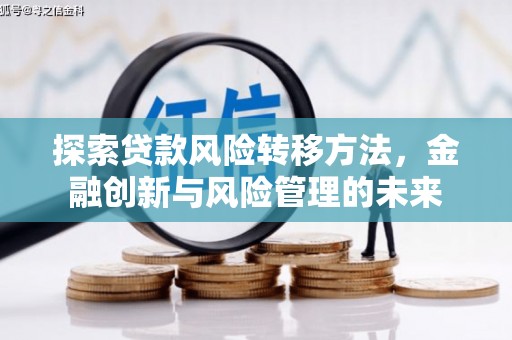 大余探索贷款风险转移方法，金融创新与风险管理的未来