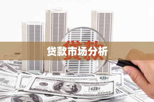 大余贷款市场分析