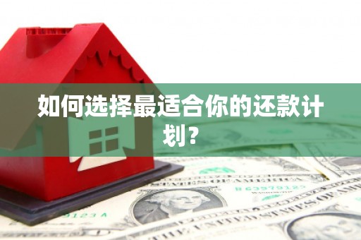 大余如何选择最适合你的还款计划？