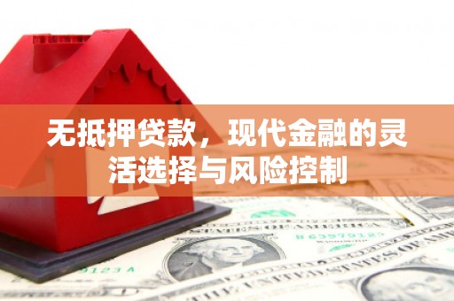 大余无抵押贷款，现代金融的灵活选择与风险控制