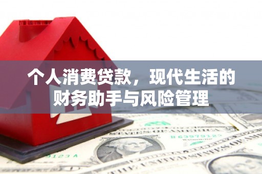 大余个人消费贷款，现代生活的财务助手与风险管理