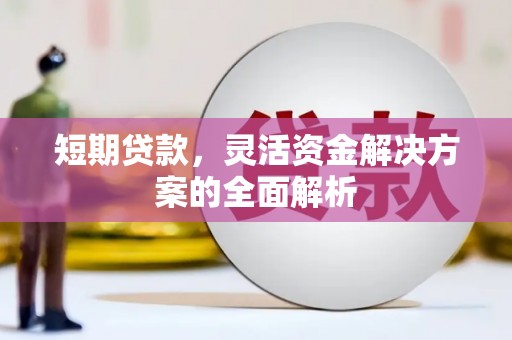 大余短期贷款，灵活资金解决方案的全面解析