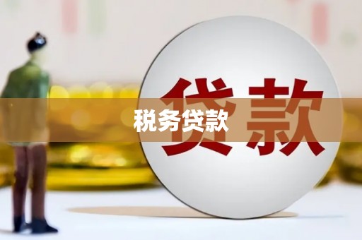 大余税务贷款