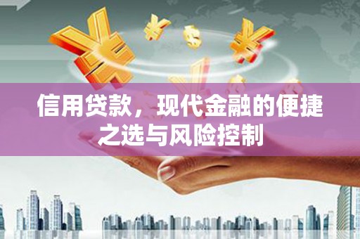 大余信用贷款，现代金融的便捷之选与风险控制