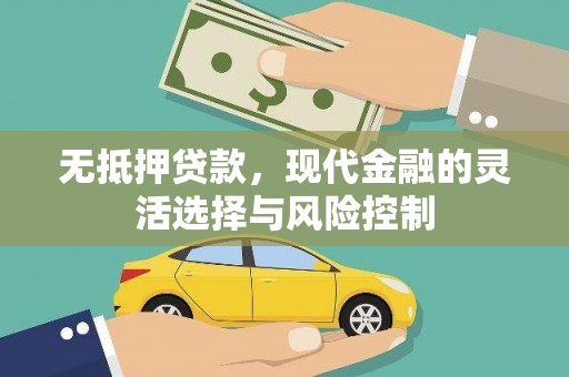 大余无抵押贷款，现代金融的灵活选择与风险控制