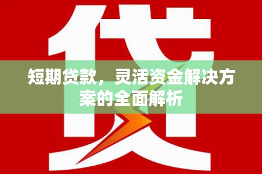 大余短期贷款，灵活资金解决方案的全面解析