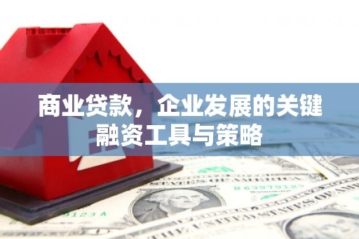 大余商业贷款，企业发展的关键融资工具与策略