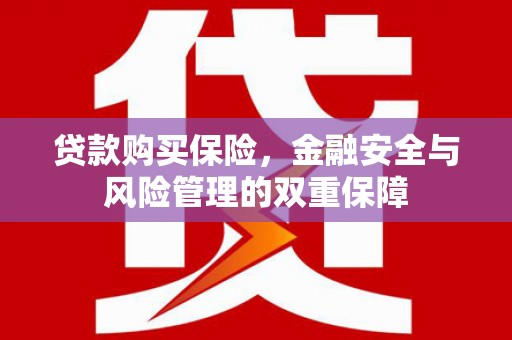 大余贷款购买保险，金融安全与风险管理的双重保障